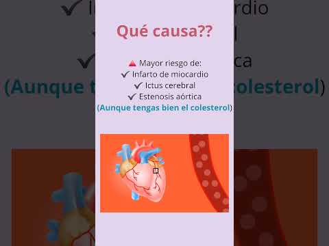 Gemma María Canales Esteve-8