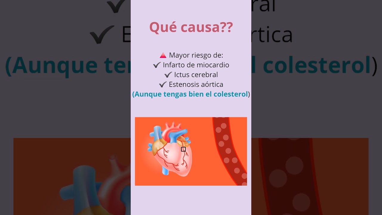 Gemma María Canales Esteve-8