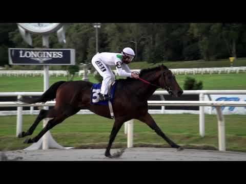 210411 c05 GRAN SULTAN