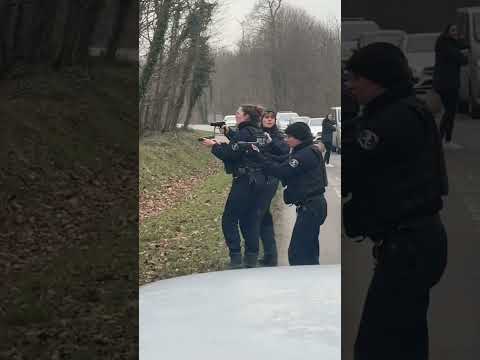 La police abat un gros sanglier après avoir été percuté par une voiture #chasse #sanglier #chasseurs