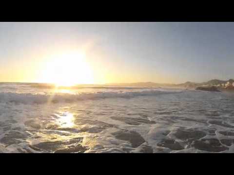 California Surfing - Studio