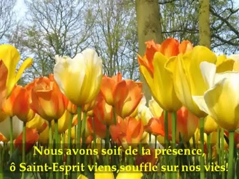 Nous avons soif de ta présence