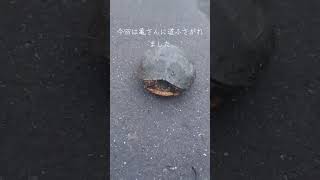 またもや仕事中の妨害が！