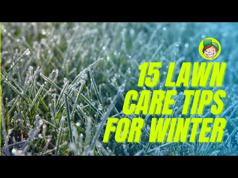 15 Tipps zur Pflege Ihres Rasens im Winter, egal wie gut oder schlecht er ist (Van Talk Episode 3)