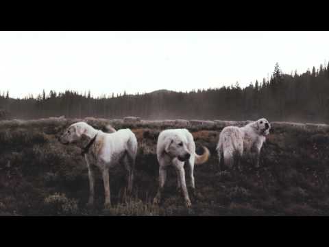 Foxing / Rory [HD]