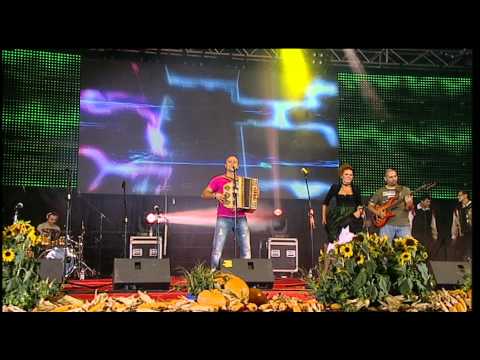 ZORAN ZORKO IN BAND - SUNNY DAY