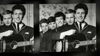 THE HOLLIES-&quot;TAKE YOUR TIME&quot;(LYRICS)