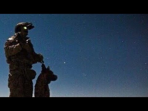 🦅REVENGE - ANTIEVERYONE, JAKE OHM & DIRTBXVND🦅 (Slowed & Reverb)