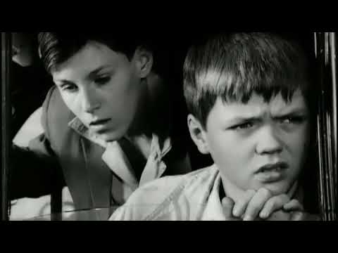 Трейлер