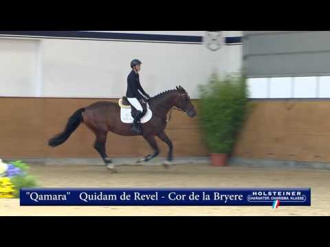 142. Qamara v. Quidam de Revel - Cor de la Bryere