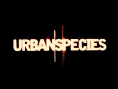 urban species Spiritual Love