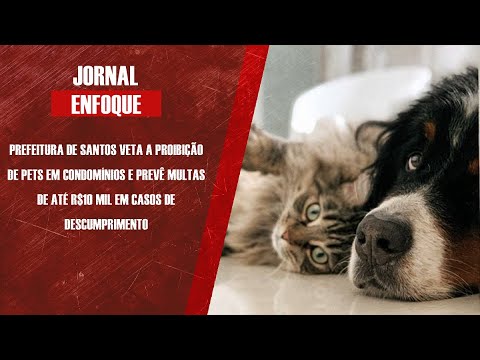 Vereador Benedito Furtado explica sobre lei que proíbe vetar pets em condomínios