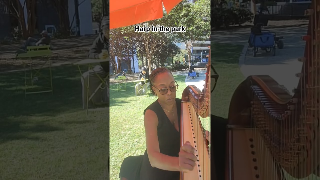 Promotional video thumbnail 1 for The Happy Harpist