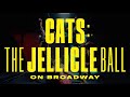 CATS: The Jellicle Ball on Broadway