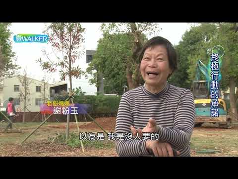 🌿 終極行動的承諾——老樹媽媽專訪（壹電視，2021）