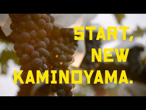 山形県上山市  |  シティプロモーション【ワイン】START, NEW KAMINOYAMA
