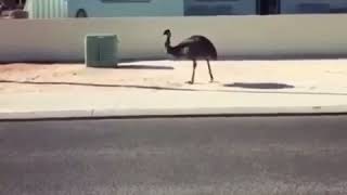 Download lagu Kata baba mp3 Download lagu Kata baba mp3