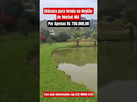 Chácara para Venda na Região de Muriaé-MG.   #muriaé #minas #muriaemg