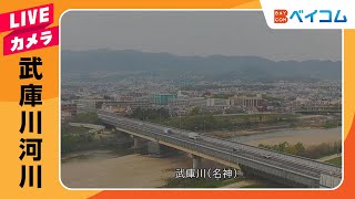 武庫川