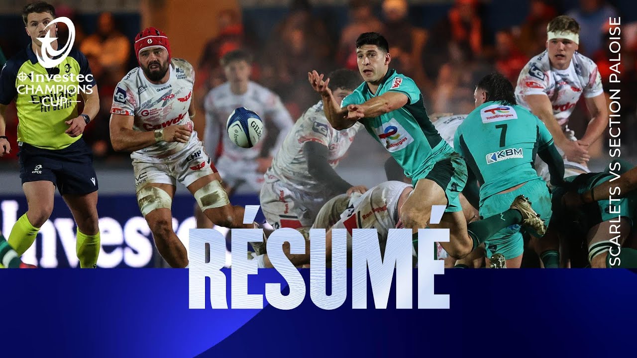 Résumés - Scarlets v Section Paloise | Investec Champions Cup 2025/26