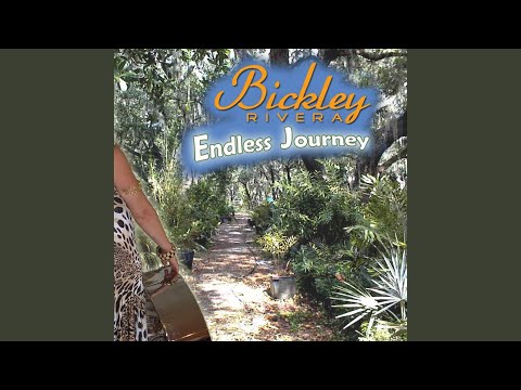 Endless Journey