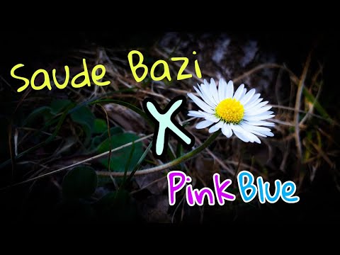 Saude Bazi X Pink Blue (Mashup) Full Song