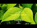 Hey Pookalai Chedikodiyin Porulendru Ninaithirundhen ️ Tamil Love WhatsApp Status Miss U Lotz Di
