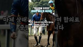 핸디캡을 모르면! "경마는 절대 이길수 없다!"