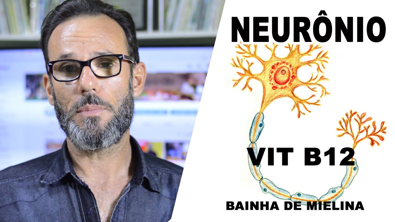 NEURÔNIOS, Bainha de mielina (VIT  B12)