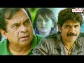 Ragada Hindi Dubbed Movie Scenes Nagarjuna Anushka Brahmanandam Priyamani Aditya Movies