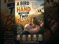 A Bird In The Hand