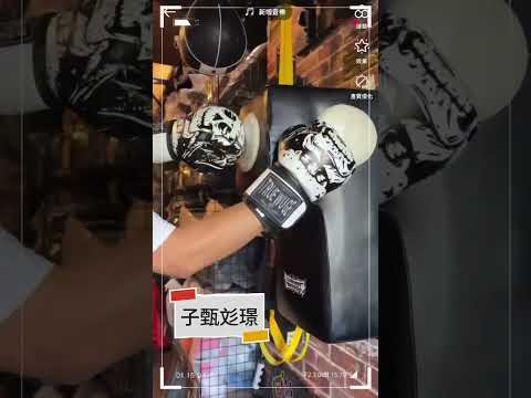 ~子甄彣璟~熱銷中 TR 拳擊手套 拳套 拳擊 手套 搏擊 散打 泰拳 格鬥 散打 健身 運動 武術 訓練