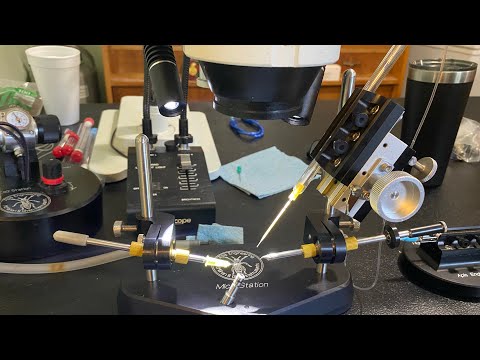 Instrumental Insemination of Queen Bees pt:1