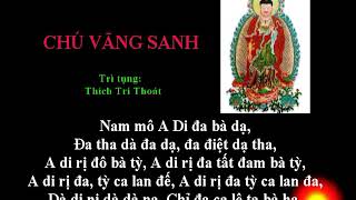 Tụng Trì Chú Vãng Sanh ( 21 biến ) - Thích Trí Thoát ( có chữ để tụng theo, thời gian #15 phút )