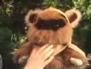 Star Wars Vintage PALITOY Commercial - Plush Ewoks