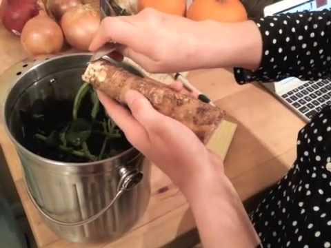 download lagu mp3 mp4 Root Spices, download lagu Root Spices gratis, unduh video klip Root Spices