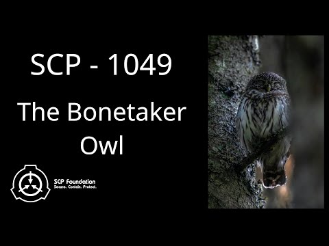 SCP 1049 - The Bonetaker Owl