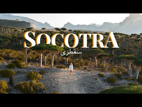 Socotra, Yemen – The Island I’ll Never Forget