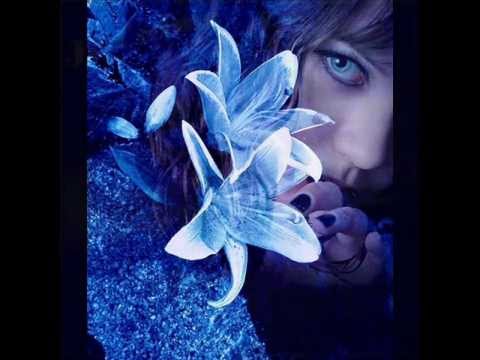 La Loi d Amour - François Valéry