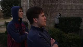 2019 d-meow David and Goliath