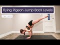 Flying Pigeon Jump Back Progressions