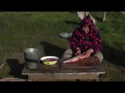 Dans le Grand Nord, à la rencontre des Dolganes