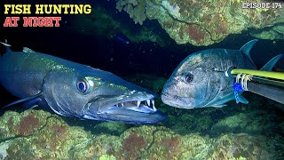 Download lagu EPS 174 NIGHT SPEARFISHING | FISH HUNTING AT NIGHT mp3 Download lagu EPS 174 NIGHT SPEARFISHING | FISH HUNTING AT NIGHT mp3