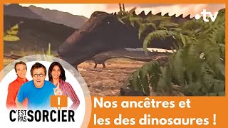 Comment les Hommes ont inventé les maisons et l’agriculture ? - C'est pas sorcier