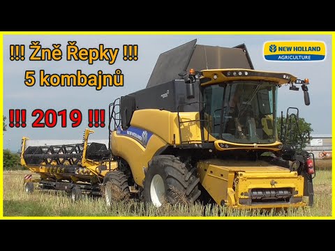 Velké Žně Řepky 2019 | 4 kombajny v nasazení | ZD Unčovice