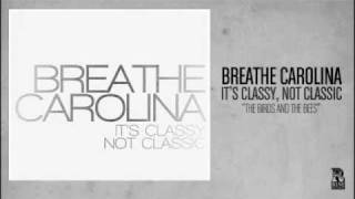 Breathe Carolina - The Birds and The Bees