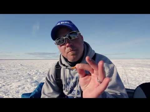Deadstick Walleyes: Clam Pro Tackle "The Blade Jig"
