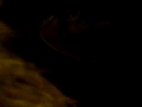 Täällä raikasta munaa!