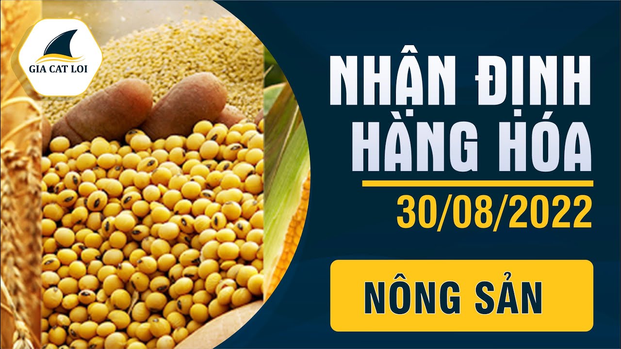 Nhận Định Thị Trường Nông Sản Ngày 30/08/2022