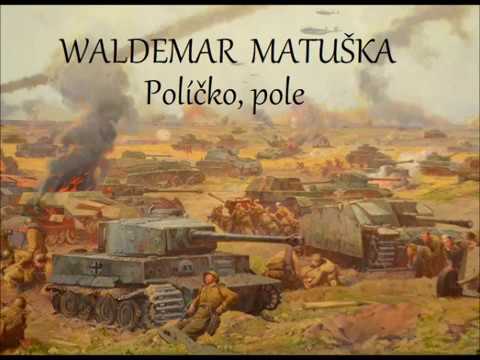 Waldemar Matuška- Políčko, pole